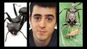 7 types de fourmis incroyables