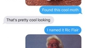 La Ric Flair 