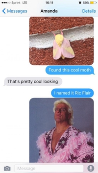 La Ric Flair 