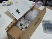 :3