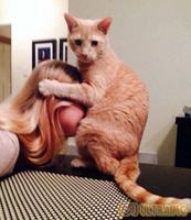 J'veux pas savoir de quoi il s'agit !