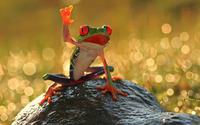 Salut !