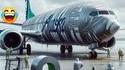 Problème résolu pour Boeing