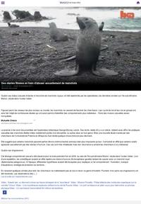 même les animaux s'y mettent .....