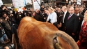 Visite au salon de l'agriculture