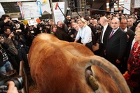Visite au salon de l'agriculture