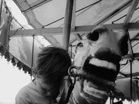 Le manège enchanteur ?