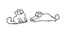  Simon dessine : Simon's Cat