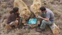 Scrabble extrême