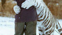 Câlin de tigre