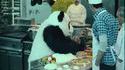 Panda dans la cuisine