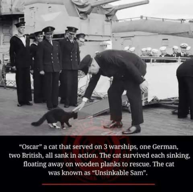Osacar est un chat qui servit sur trois navires de guerres, un allemand et deux anglais. Les trois furent coulés mais le chat survécut à chaque fois, d'où son surnom. 

Perso, je ne serais pas monté sur le même bateau que cette bestiole. Porte la poisse le matou.