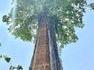 La nature reprend ses droits