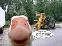 Arretez ce p#$%&*@ de bruit