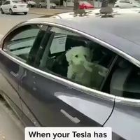 Pour éviter de se faire casser la vitre .