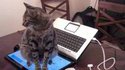 Ne pas s'asseoir sur le clavier