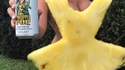 Perso, je n'aime pas les ananas 