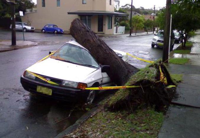 Attention : Il ne faut pas se garer devant un arbre quand il y a de la tempête