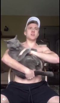 The voice avec chat