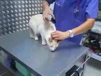 Comment désactiver un fdp