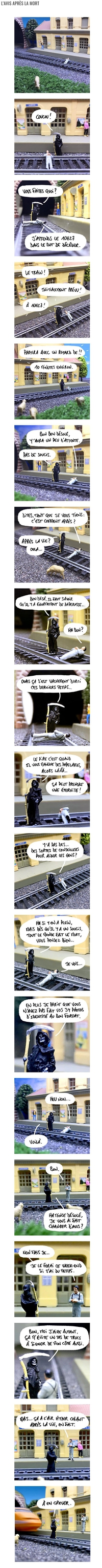 L'avis après la mort