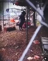 L’heure de la messe noire