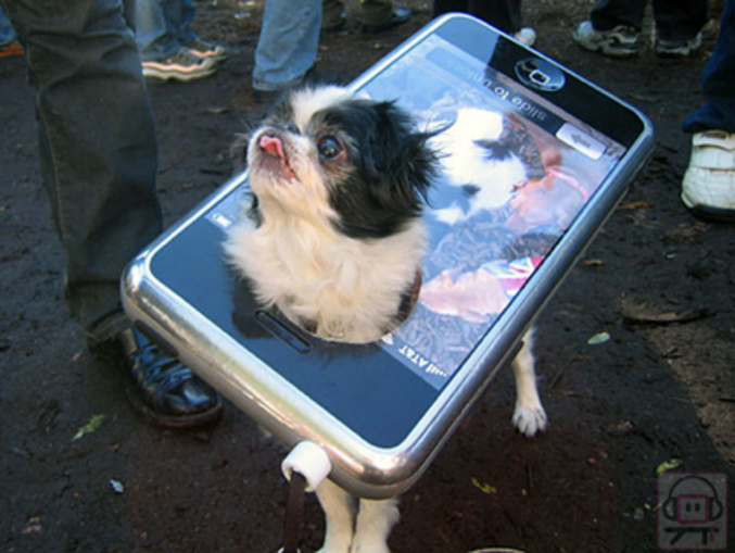 Un chien qui porte un costume en forme de iPhone.