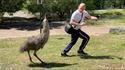 Russes en Australie :)