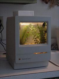Mac-quarium