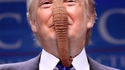 Un éléphant ça trump énormément