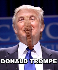 Un éléphant ça trump énormément