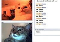 chat-roulette