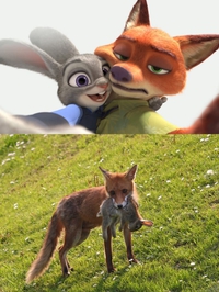 Judy Hopps et Nick Wilde