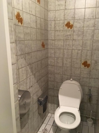 Pas le meilleur choix pour rompre la monotonie du carrelage des chiottes