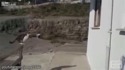 Saut de chat 10