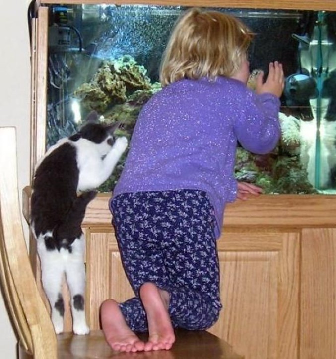 Une petite fille et un chat qui ont la même posture