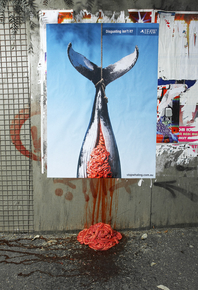 Une affiche assez bien trouvée pour dégouter de la pêche à la baleine.