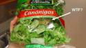 Salade de grenouille