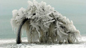 Arbre gelé