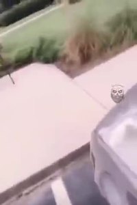 La galanterie n'est pas morte