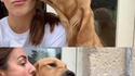 Combo de léchouilles
