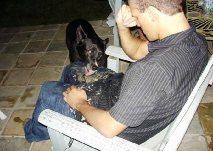 Un chien nettoie le vomi de son maître.