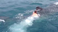 Il saute sur un requin