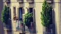Cultiver son balcon