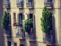 Cultiver son balcon