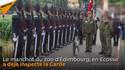 Un général manchot