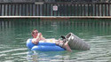 Picoler en flottant