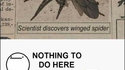 Découverte scientifique