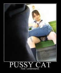 Pussy cat