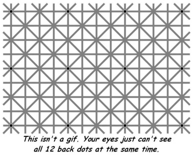 Vos yeux ne peuvent pas voir les 12 points noir en même temps.
